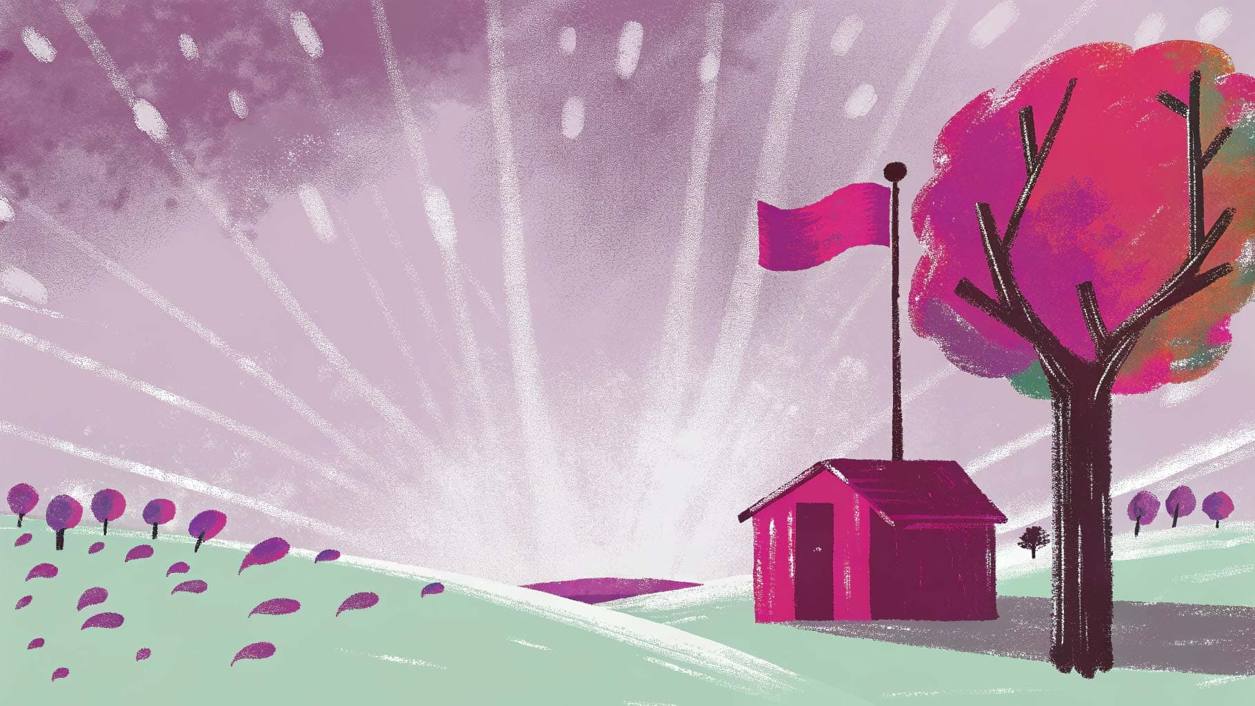 Social Media Creatives